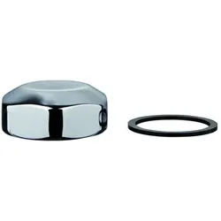 Grohe Deckel 43103 komplett 43103000 für WC-Druckspüler Aufputz