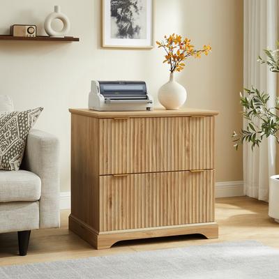 ACCOHOHO Modern Fluted 2 Drawer File Cabinet, Storage Cabinet for Home Office