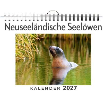 Neuseeländische Seelöwen