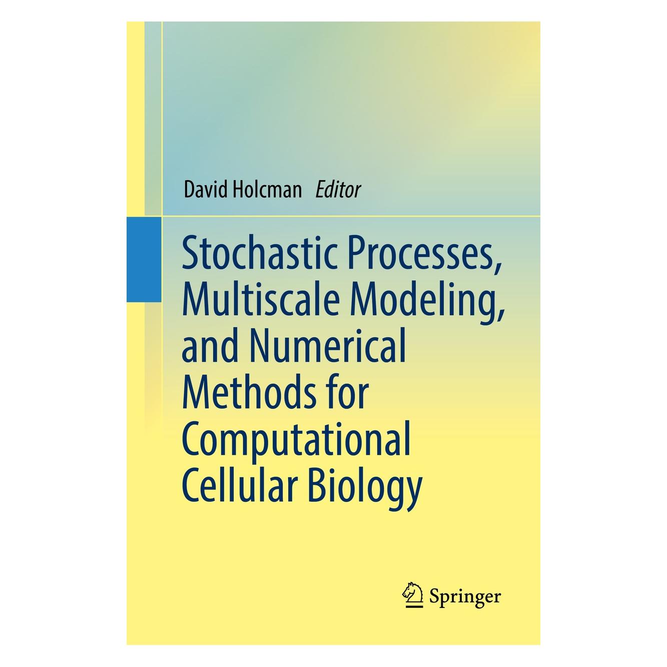 Springer Stochastic Processes, Multiscale Modeli (9783319626260)