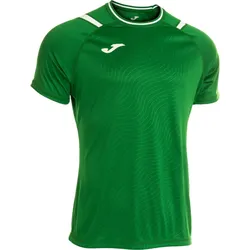 JOMA Dinamo II Trikot 452 - grün/weiß S