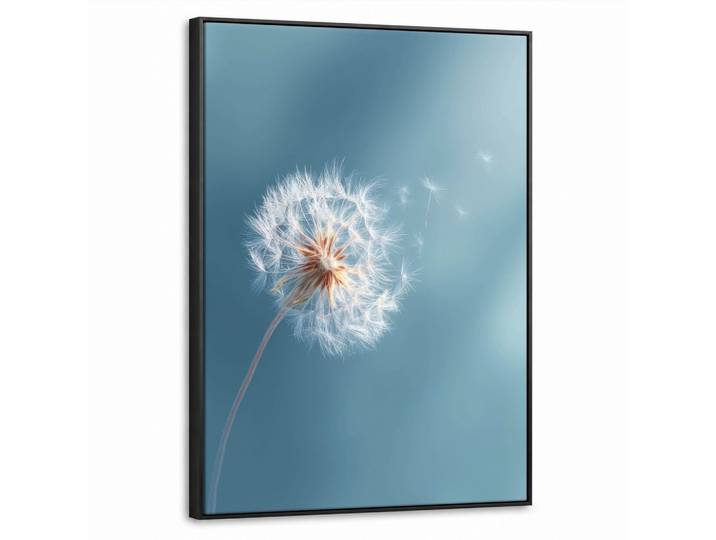 LEINWAND Bilder mit Rahmen - Löwenzahn - Wind - Blau - 60x80