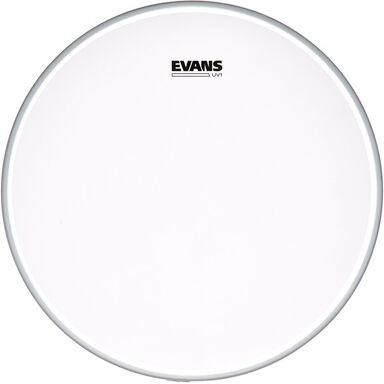 "Evans 18"" UV1 Coated Bass "