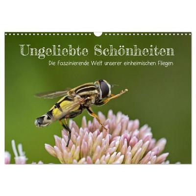 Ungeliebte Schönheiten - die faszinierende Welt unserer heimischen Fliegen (Wandkalender 2027 DIN A3 quer), CALVENDO Monatskalender