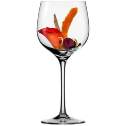 Eisch Superior Burgunder 500/1 2er Pack, Weingläser, Transparent