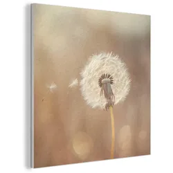 AKUSTIKBILD Löwenzahn - Beige - Natur - Blume Akustikpaneele 90x90 cm
