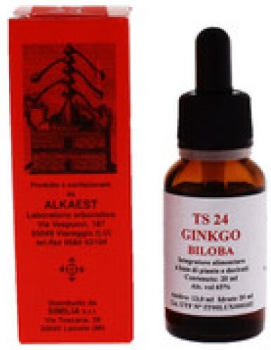 ALKAEST Srl TS GINKGO BILOBA 20ML
