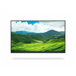DELL P2422H (ohne Standfuß), 23.8"
