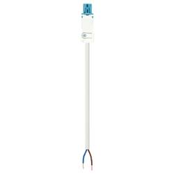Wieland Electric 91.222.4003.9 Anschlussleitung Weiß 4 m