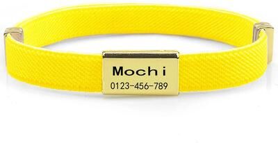 Uplifted Finds Scratch Resistant Engraved ID Cat Collar yellow And Tag
