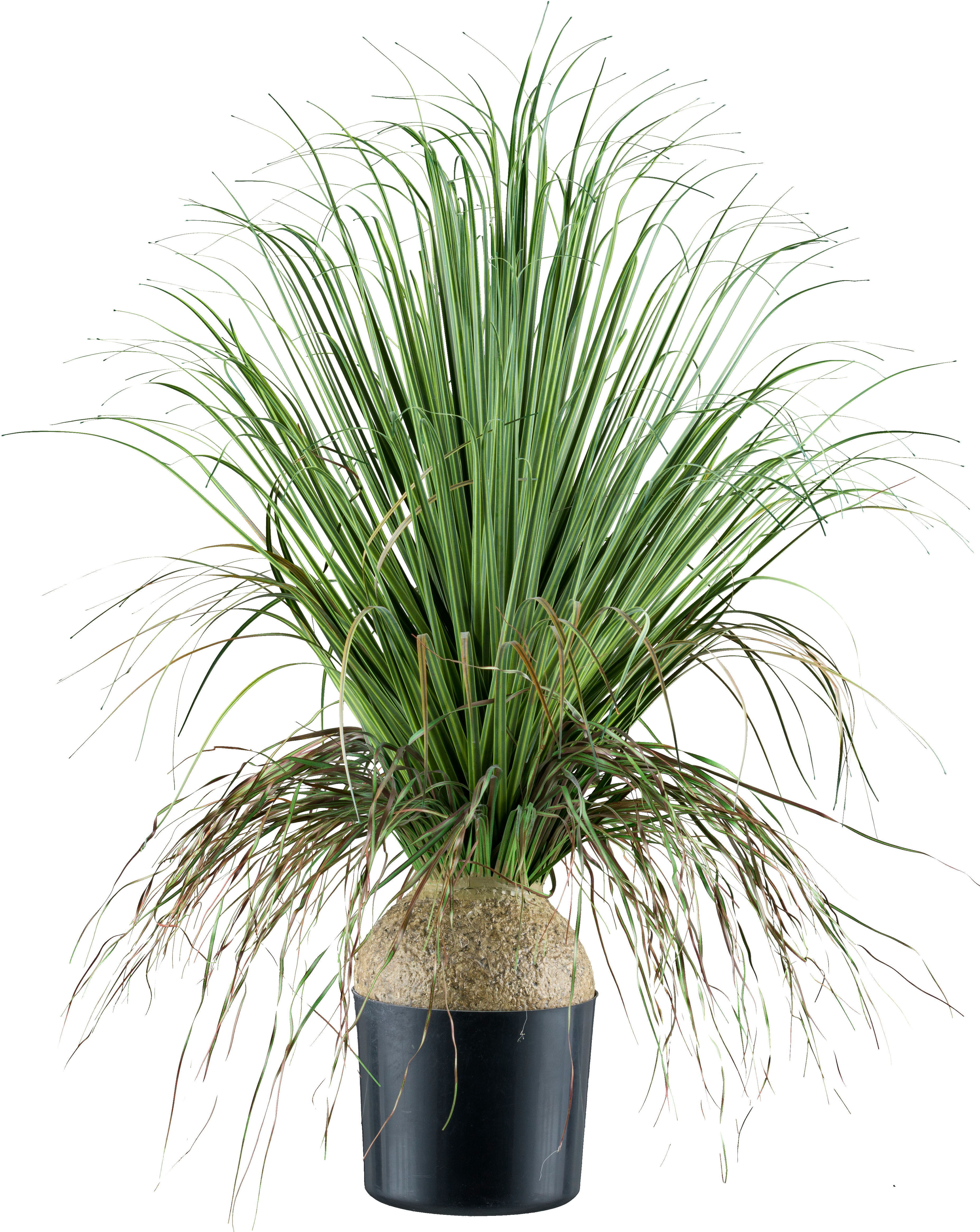 Kunstpflanze CREATIV GREEN "Elefantenfuß", grün, H:68cm, Kunststoff, Kunstpflanzen, Kunstpflanze, mit zahlreichen Blättern