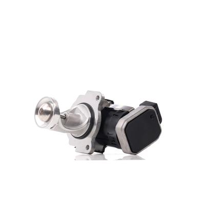DELPHI AGR-Ventil VW,SEAT EG10431-12B1 03G131501E Abgasrückführungsventil,Abgasrückführung,Ventil für Abgasrückführung,AGR