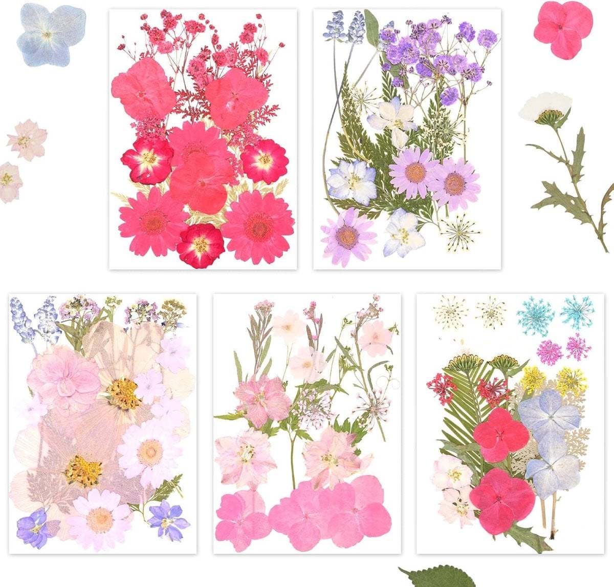 5 zakjes met 100 gedroogde persbloemen voor nail art en DIY sieraden, diverse kleuren en thema's