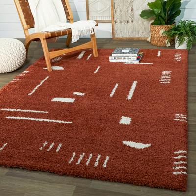 Carson Carrington Carson Shag Area Rug