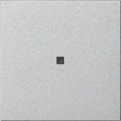Gira Funk-Bedienaufsatz 549526