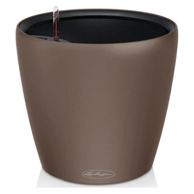 Lechuza Classico Color. (43 x 43 x 39 cm) (14293)