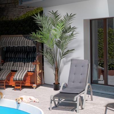 Regency International Potted Uv Treated Kentia Palm 8'