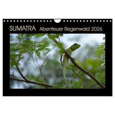 SUMATRA Abenteuer Regenwald (Wandkalender 2026 DIN A4 quer), CALVENDO Monatskalender