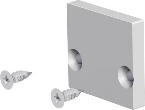 EVN APF EAP Profil-Endkappe (L x B) 3mm x 18.50mm 1St.