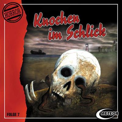 Knochen im Schlick - Nikolaus Hartmann,Sascha Gutzeit, Audio, 4260507135933
