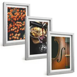 BILDER SET 3er Set - 20x30 cm Silberner Rahmen - Vintage Blumen Wein Geige