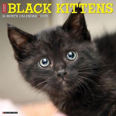 Black Kittens 2026 Wall Calendar