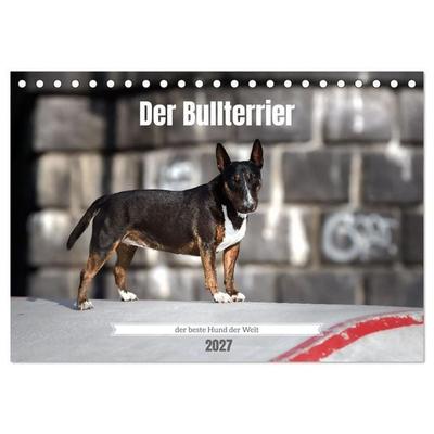 Der Bullterrier der beste Hund der Welt (Tischkalender 2027 DIN A5 quer), CALVENDO Monatskalender