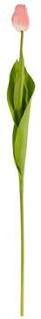Saro Lifestyle Tulip Stem Floral Accent (Set of 12)