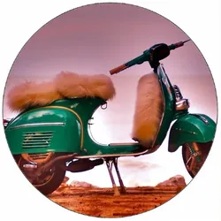 Essbares Papier: Grüner Roller mit Fell, 19,5 cm