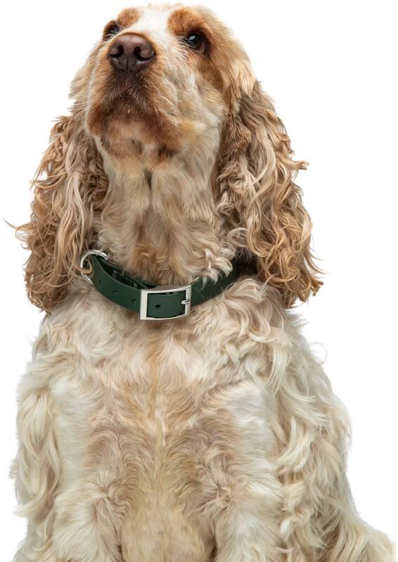 United Pets Collare Impermeabile Gumi Verde L - 2.5 MM 47-55CM