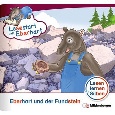 Lesestart mit Eberhart: Eberhart und der Fundstein, Geheftet von Nicole Brandau,Stefanie Drecktrah, Mildenberger Verlag GmbH, 978-3-619-04186-2