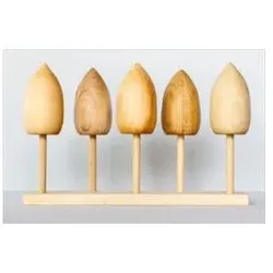 Wooden Story Stacking Toy Tree Species (Englisch)