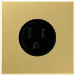 Jung Steckdose US-Norm NEMA ME 2521-15 C