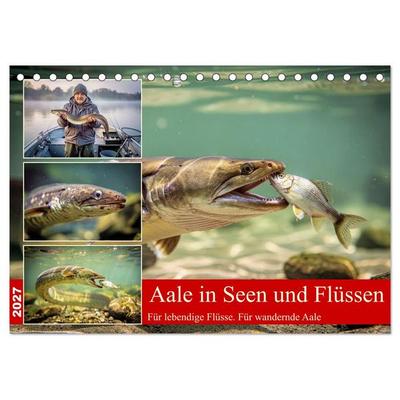 Aale in Seen und Flüssen (Tischkalender 2027 DIN A5 quer), CALVENDO Monatskalender