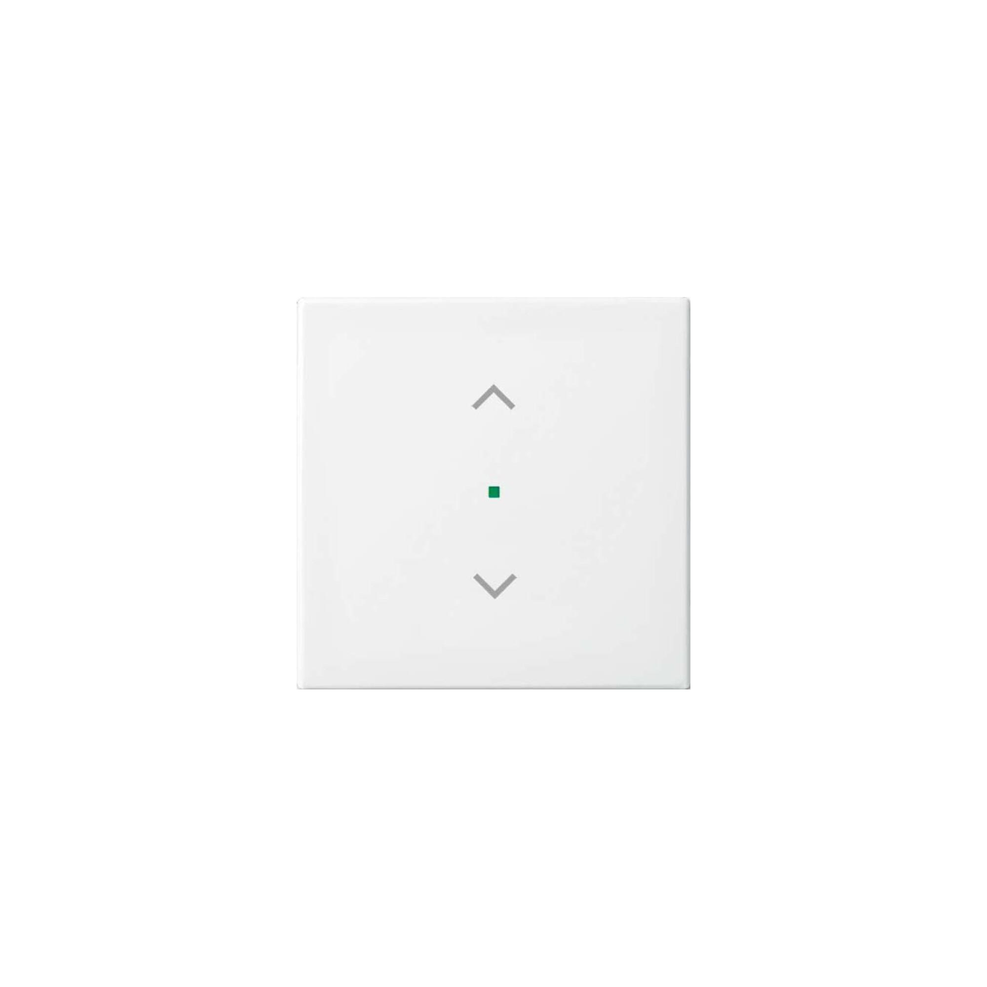 Busch-Jaeger Wippe aws Busch-balance SI 6232-10-914 (2CKA006220A0357)