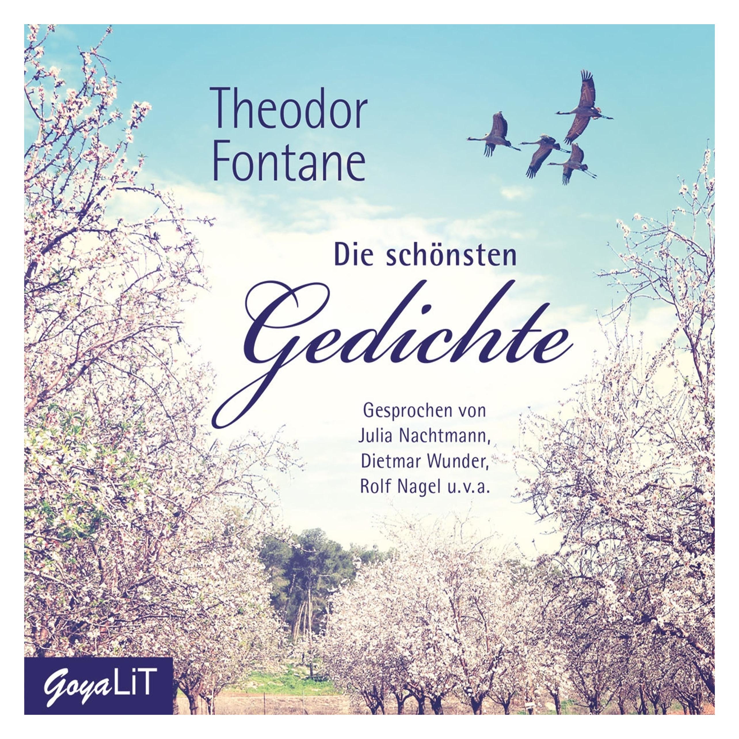 Jumbo Theodor Fontane.Die Schönsten Gedichte (54722445)