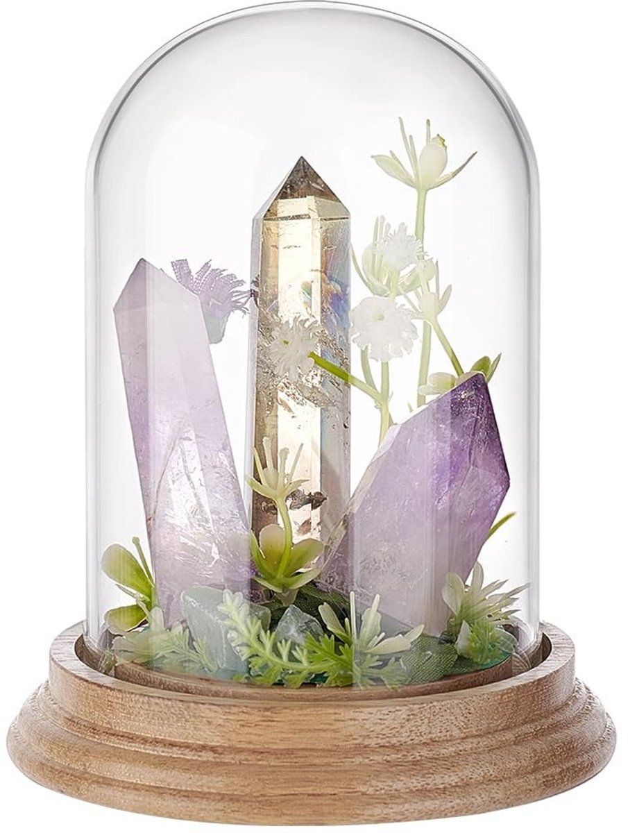 Dailygoods Glazen Koepel met Houten Basis - Cloche Vitrine voor Decoratie