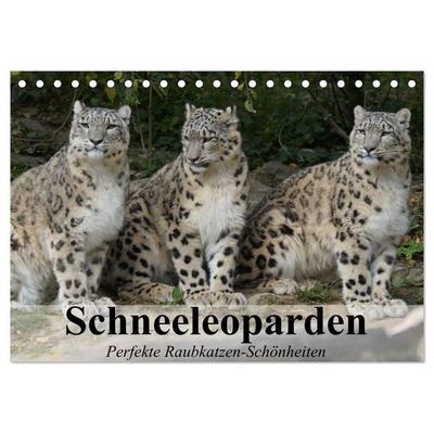 Schneeleoparden. Perfekte Raubkatzen-Schönheiten (Tischkalender 2027 DIN A5 quer), CALVENDO Monatskalender