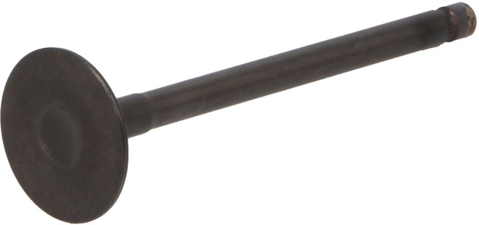 Einlassventil FRECCIA R6609/SNT