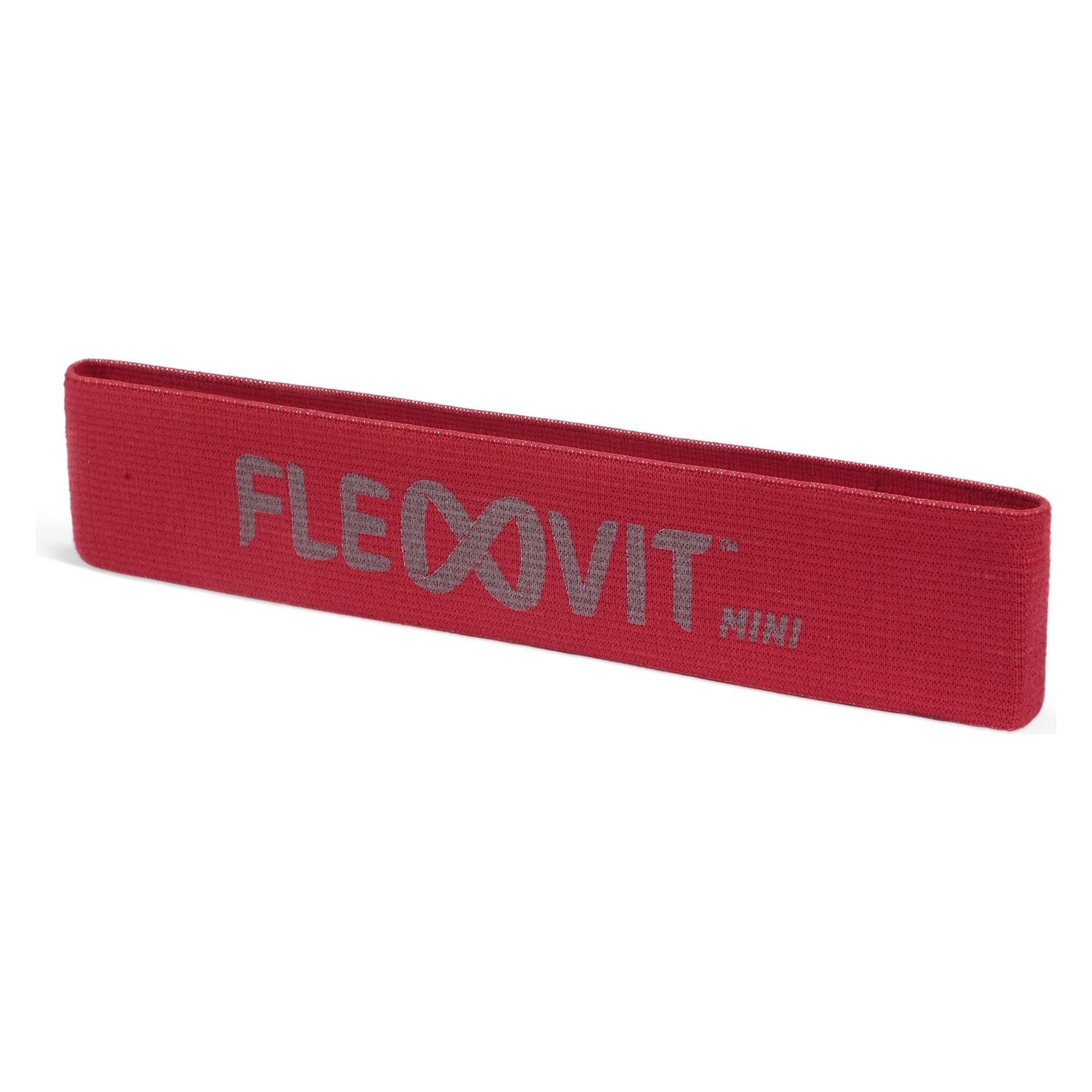 Flexvit Mini Fitnessband, 10er Set, mittel (0.32 m, Mittel) (30107063)
