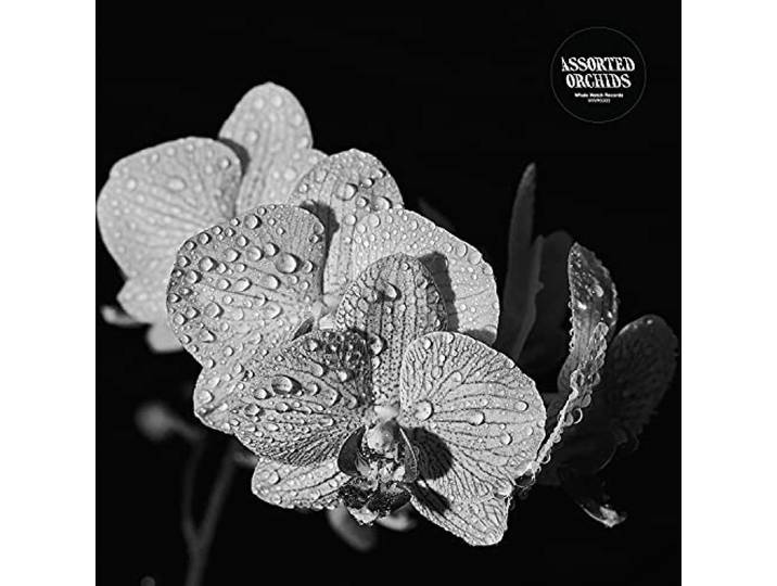 Assorted Orchids