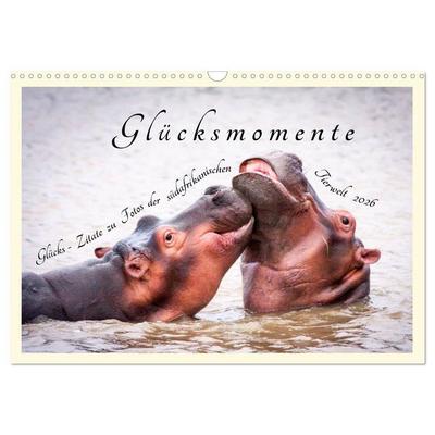 Glücksmomente Glücks-Zitate zu Fotos der großartigen südafrikanischen Tierwelt (Wandkalender 2026 DIN A3 quer), CALVENDO Monatskalender