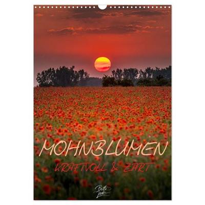 Mohnblumen - kraftvoll und zart (Wandkalender 2027 DIN A3 hoch), CALVENDO Monatskalender