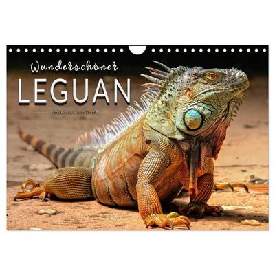 Wunderschöner Leguan (Wandkalender 2027 DIN A4 quer), CALVENDO Monatskalender