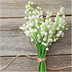 6x Stewo, Servietten, Servietten (20 Stk., 33 x 33 cm)