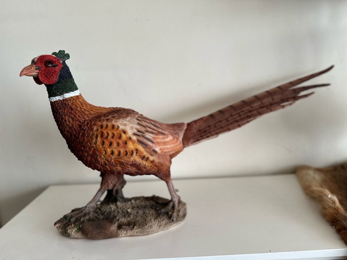 Goodyz Decoratief Figuur Fazantenhaan - Wilde dieren en vogels - Staand model