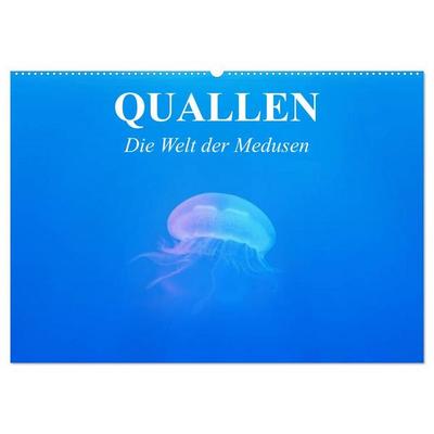 Quallen. Die Welt der Medusen (Wandkalender 2027 DIN A2 quer), CALVENDO Monatskalender