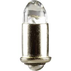 Kahlert Licht 51961 LED-Birne Weiß MS4 19 V 1 St.