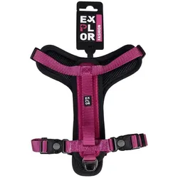 Duvoplus Y Fashion (L, Hund, Hundesport, Jogging, Spazieren), Halsband + Leine