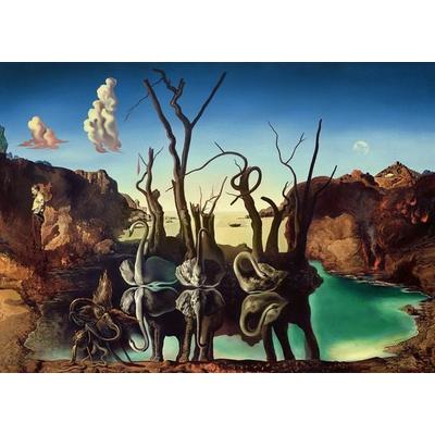 Erwachsenenpuzzle 1000 Teile - Dali